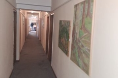 Dimitrovgrad (14)