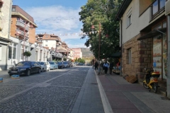 Dimitrovgrad (24)