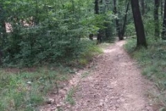 Pripreme (49)