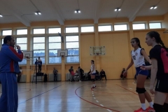 Obrenovac (29)